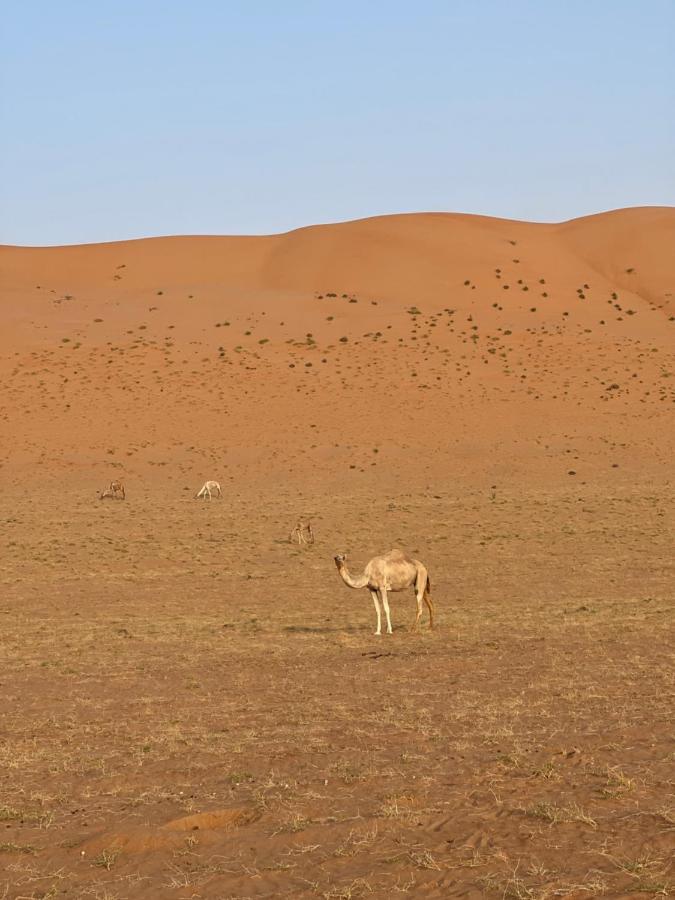 Thousand Stars Desert Camp Bidiya Ngoại thất bức ảnh