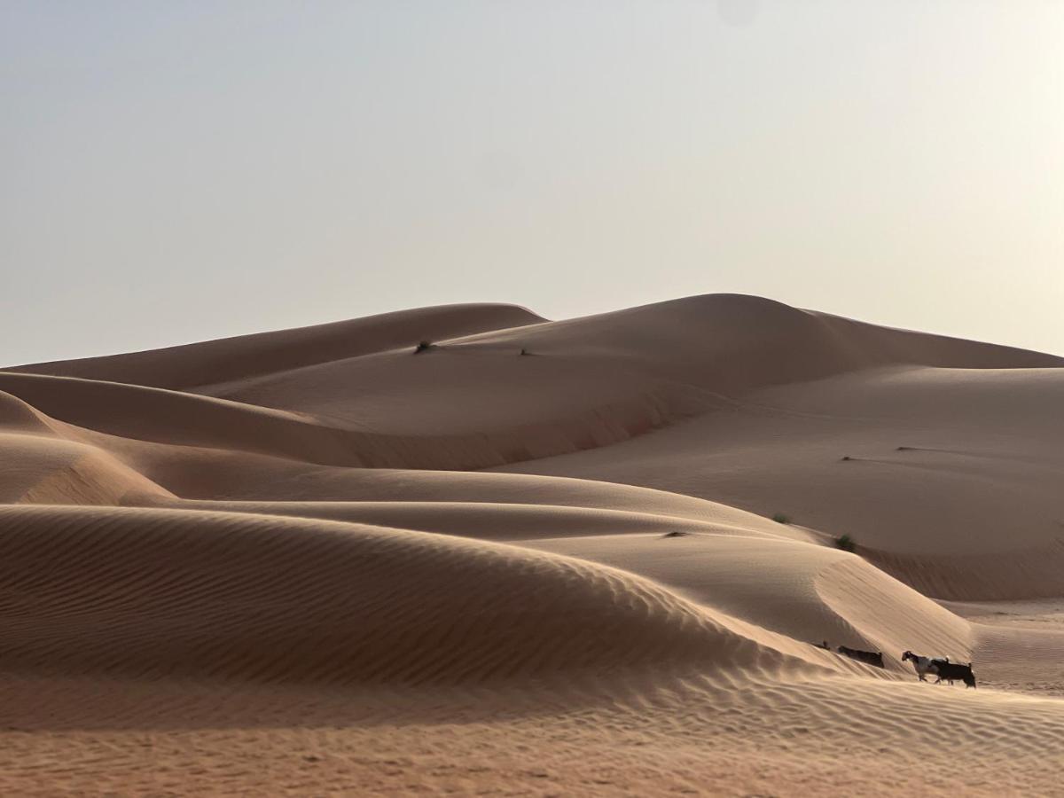 Thousand Stars Desert Camp Bidiya Ngoại thất bức ảnh