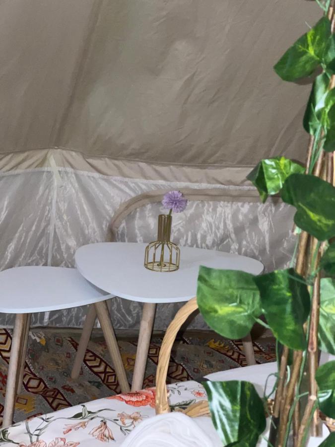 Thousand Stars Desert Camp Bidiya Ngoại thất bức ảnh