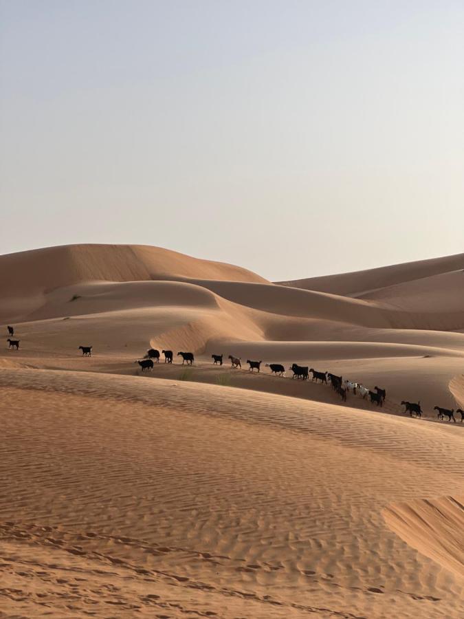 Thousand Stars Desert Camp Bidiya Ngoại thất bức ảnh