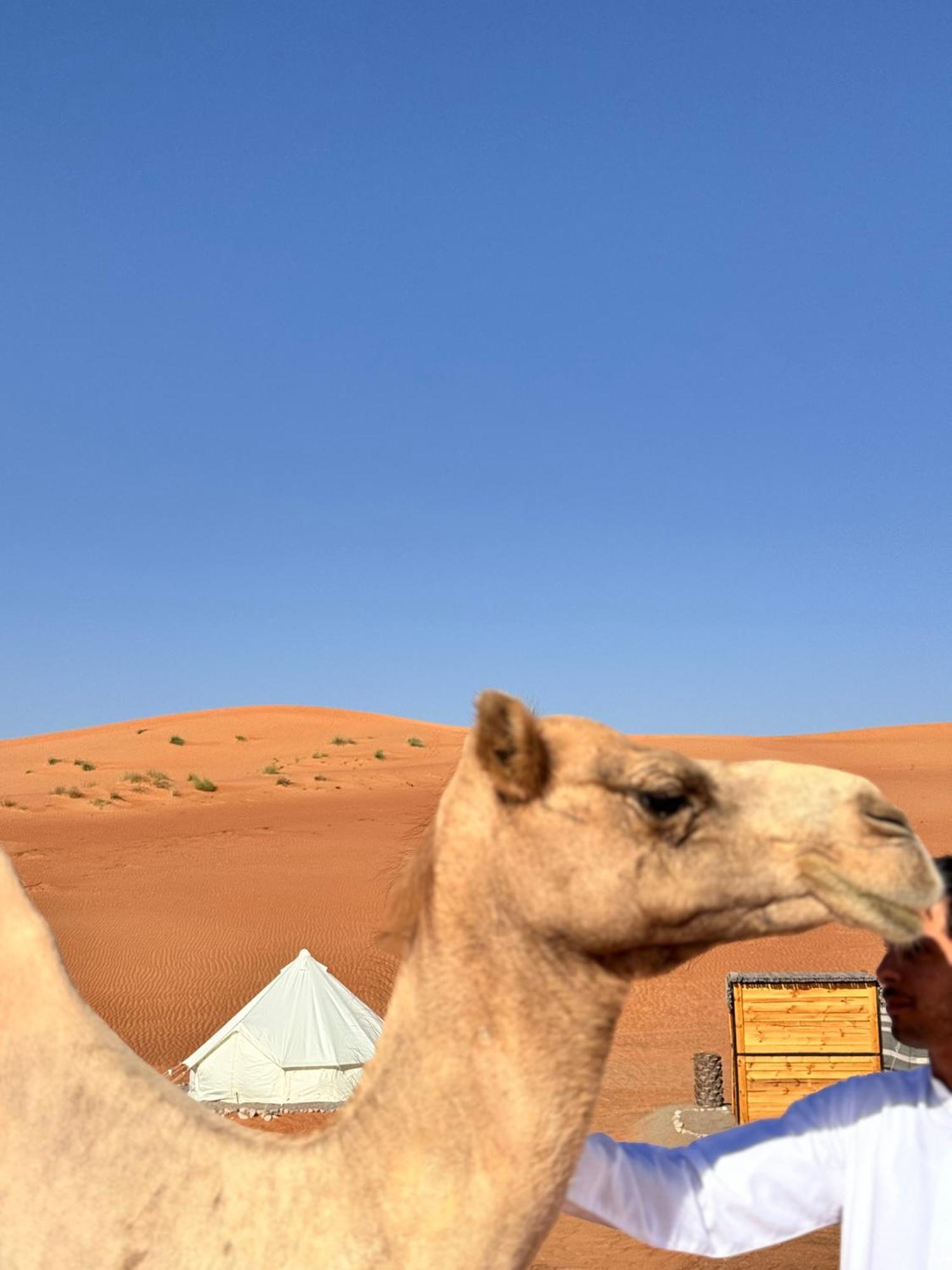 Thousand Stars Desert Camp Bidiya Ngoại thất bức ảnh